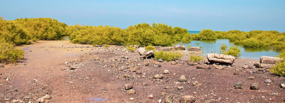 Marine-National-Park-Banner-1-980×357